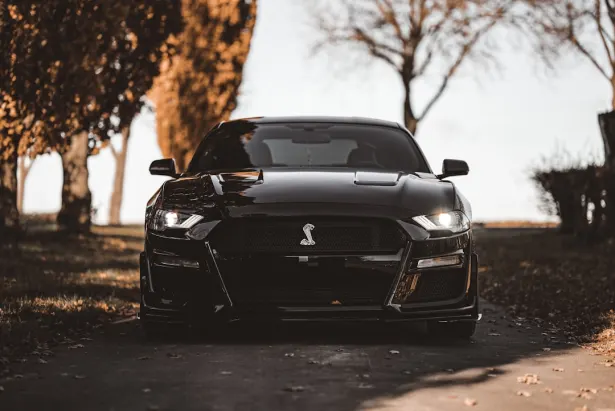 Casino Golden Palace Android/iOS-app